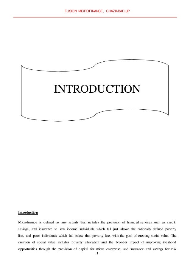 dissertation report on microfinance